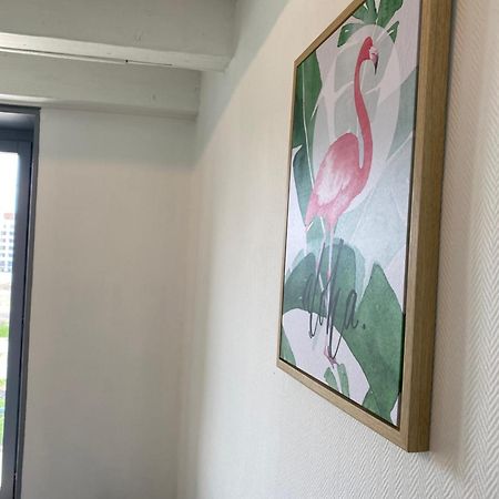 Appartement Les Cosy De Nancy - Le Duplex aux flammants roses - 4étoiles Extérieur photo