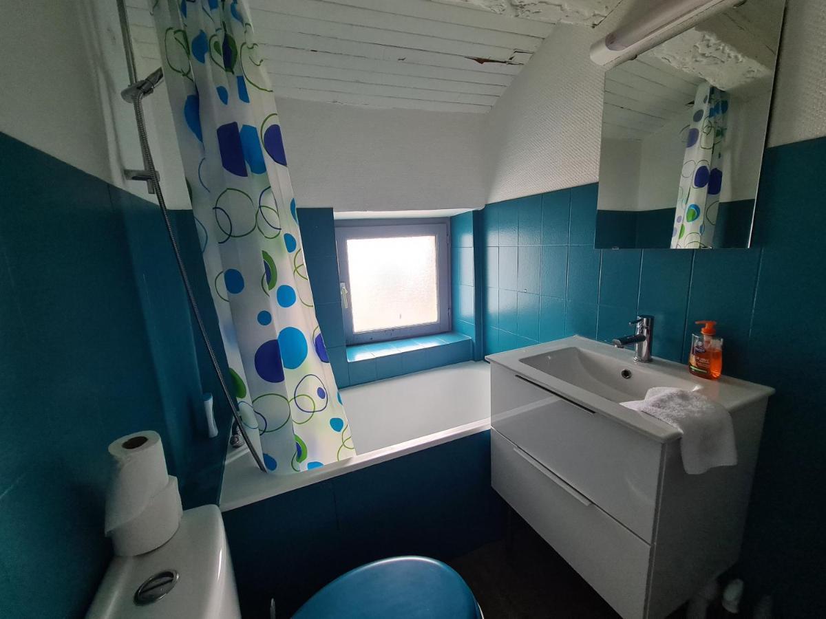 Appartement Les Cosy De Nancy - Le Duplex aux flammants roses - 4étoiles Extérieur photo