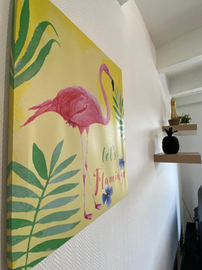 Appartement Les Cosy De Nancy - Le Duplex aux flammants roses - 4étoiles Extérieur photo